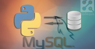 MySQL Databases With Python Tutorial