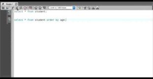 MySQL Tutorial how to use order by in sql | workbench