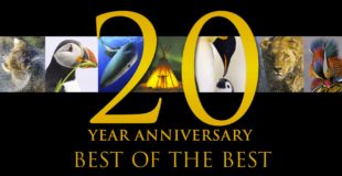 Best of the Best: 20 Years of Nature’s Best Photography