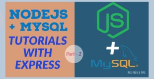 Nodejs and MySQL With PUG  & Express Tutorial – Setup MySQL Server