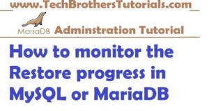 How to monitor the Restore progress in MySQL or MariaDB – MariaDB Tutorial