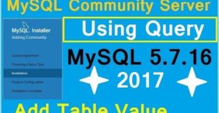 MySQL community server tutorial. Add value in table using query. MySQL 5.7 +