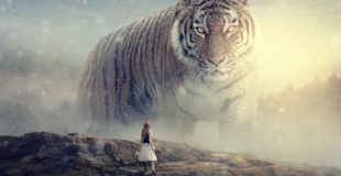 Big Tiger – Photoshop Manipulation Tutorial