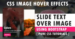 CSS Slide Text Over Image – Css Image Hover Effects Using Bootstrap – Pure CSS3 Hover Effects