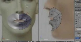 Blender 3D Tutorial – Beginners, Face Modeling with Plane Mesh by VscorpianC