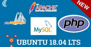 Tutorial Como instalar LAMP【 Apache PHP MYSQL + PHPMyadmin 】Ubuntu 18.04 LTS Linux Server Completo