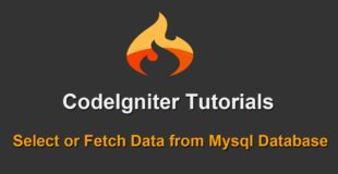 7 – Codeigniter Tutorials – Select or Fetch Data from Mysql Database