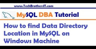How to find Data Directory Location in MySQL on Windows Machine – MySQL DBA Tutorial