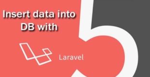 Laravel 5 tutorial, How To Insert Data in Database