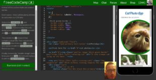 Ditch Custom CSS for Bootstrap, freeCodeCamp Bootstrap Review, lesson 10