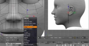 Blender head modeling tutorial – part 1