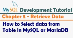 How to Select data from Table in MySQL or MariaDB  – MySQL Developer Tutorial | MySQL Tutorial