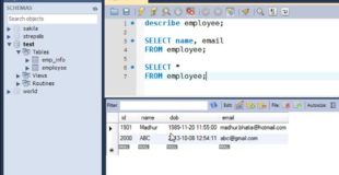SQL Tutorial – 14: The SELECT Query