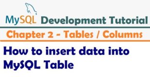 How to insert data into MySQL Table  |  Inserting Data Into Tables –  MySQL Developer Tutorial