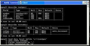 tutorial mysql: importacion de datos en mysql para Ms Windows