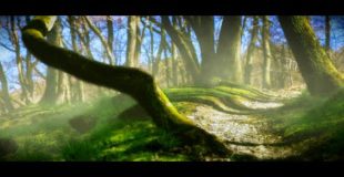 Blender Cycles animation render forest camera map breakdown /with mist