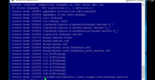 Install MySQL Server