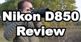 Nikon D850 Review For Wildlife, Landscape, and Nature Photographers