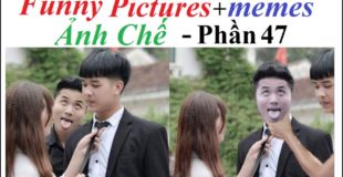 Funny Pictures – Ảnh Chế (Phần 47) meme, Funny Photos, Photoshop Troll, Top Comment..