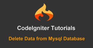 8 – Codeigniter Tutorials – Delete Data from Mysql Database