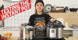 Is the Instant Pot Worth It? — The Kitchen Gadget Test Show