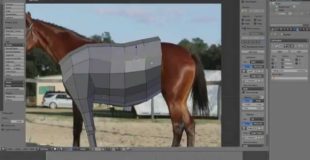 Blender Low Poly Horse Modeling (Timelapse)