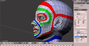 Blender Topology Collection: Head Overview