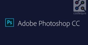 Learn Adobe Photoshop from Scratch