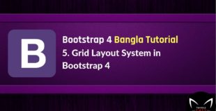 5. Bootstrap 4 Grid Layout in Bangla – Part I | বুটস্ট্রাপ বাংলা টিউটোরিয়াল