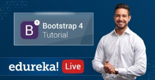 Bootstrap 4 Tutorial | Bootstrap Tutorial For Beginners | Web Development Training | Edureka
