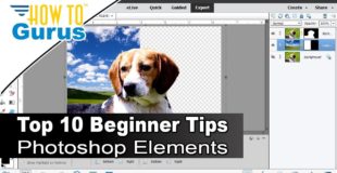 Photoshop Elements Beginner: Top Ten Things to Know Photoshop Elements for Beginners