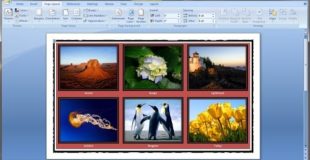 Microsoft word tutorial |How to insert images into word document table