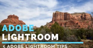 Adobe Lightroom Tutorial For Beginners: Lightroom Photo Editing Tips