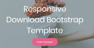 Download Bootstrap Template – Free HTML Website Templates