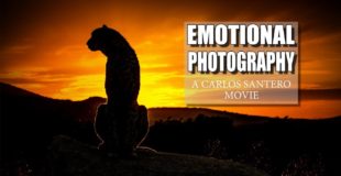 Emotional Photography