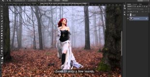 Magic Forest: Photoshop Manipulation Tutorial