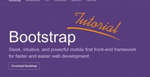Bootstrap  (deutsch) "CSS, Customize, less"