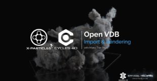 Quick Guide – How to import OpenVDB files to X-Particles, then render  with Cycles 4D.