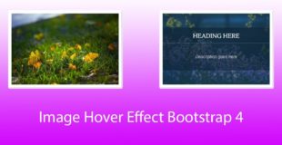 Image Hover Effect Using Bootstrap 4 and CSS3 with code 2018