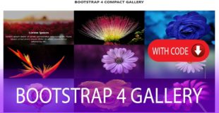 How to create Responsive LightBox Gallery with Bootstrap 4 with code