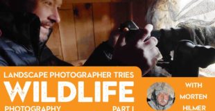 Landscape Photographer tries WILDLIFE PHOTOGRAPHY with Morten Hilmer | Part one – Bird Photography