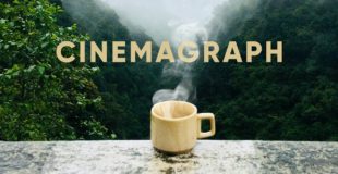 Create The Endless Loop of Cinemagraph in Photoshop