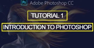 Adobe Photoshop CC|Introduction|Tutorial|Beginners|Tools|Editing|Basics|Selections|Absolute|Training