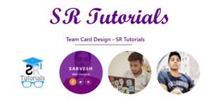 Team Card Hover Effect | Demo 13 | Html, Css & Bootstrap | SR Tutorials |