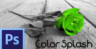 Photoshop CS6 Tutorial: Color Splash Effect (For Beginners)