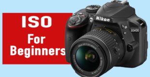 ISO for beginners – photography tutorials