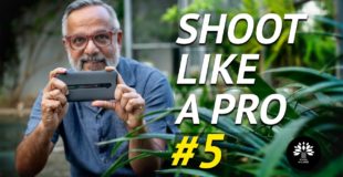 5 Mobile Photography Tips you must know!