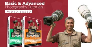 Online Photography Tutorials : Beginners To Advanced