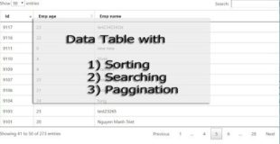 Table with Sorting , Searching, Paggination – JQuery , DataTable , CSS , Bootstrap