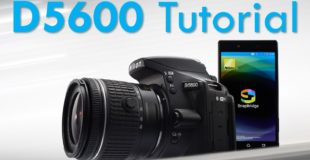 Nikon D5600 Overview Tutorial